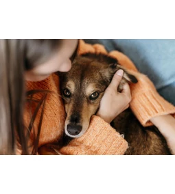 Normális-e a gyász kutyánk elvesztése után?