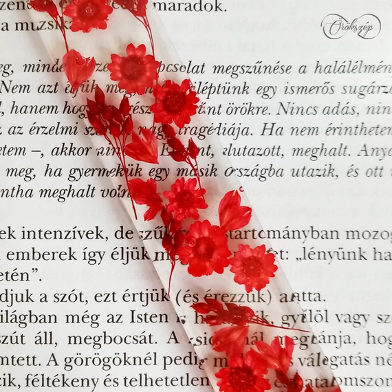 Könyvmoly Mikuláspiros ajándékcsomag